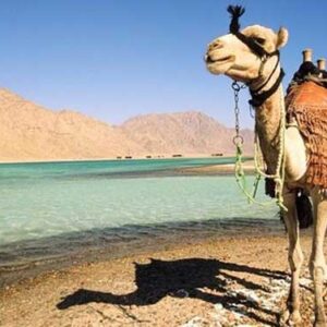 Дахаб  ⁠Дискавери 4 В 1 из Шарм-эль-Шейха